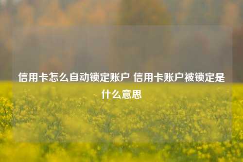 信用卡怎么自动锁定账户 信用卡账户被锁定是什么意思