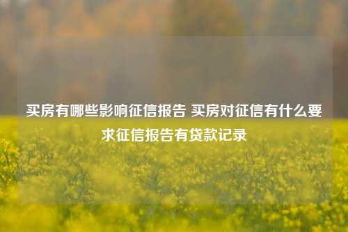 买房有哪些影响征信报告 买房对征信有什么要求征信报告有贷款记录