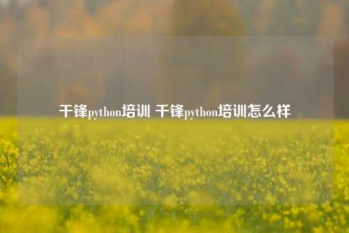 干锋python培训 千锋python培训怎么样