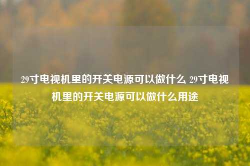 29寸电视机里的开关电源可以做什么 29寸电视机里的开关电源可以做什么用途