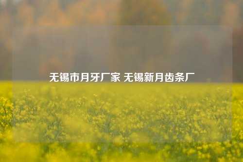 无锡市月牙厂家 无锡新月齿条厂