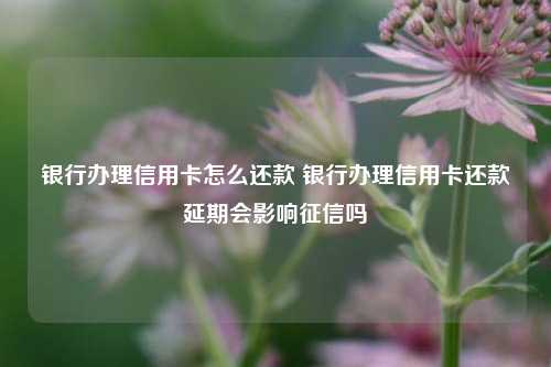 银行办理信用卡怎么还款 银行办理信用卡还款延期会影响征信吗