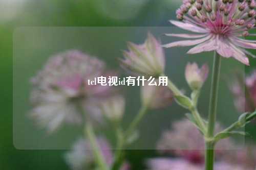 tcl电视id有什么用