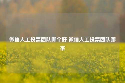 微信人工投票团队哪个好 微信人工投票团队哪家