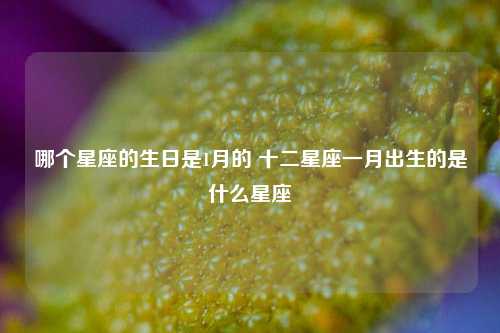 哪个星座的生日是1月的 十二星座一月出生的是什么星座