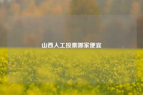 山西人工投票哪家便宜