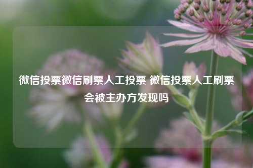 微信投票微信刷票人工投票 微信投票人工刷票会被主办方发现吗