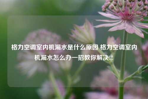 格力空调室内机漏水是什么原因 格力空调室内机漏水怎么办一招教你解决!!!