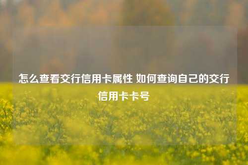 怎么查看交行信用卡属性 如何查询自己的交行信用卡卡号