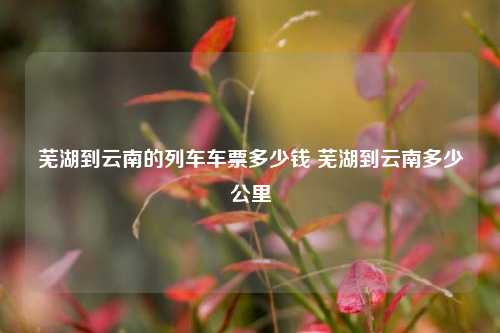 芜湖到云南的列车车票多少钱 芜湖到云南多少公里