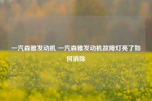 一汽森雅发动机 一汽森雅发动机故障灯亮了如何消除