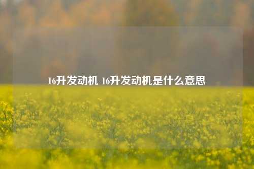 16升发动机 16升发动机是什么意思