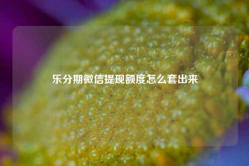 乐分期微信提现额度怎么套出来