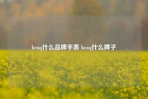 benq什么品牌手表 benq什么牌子