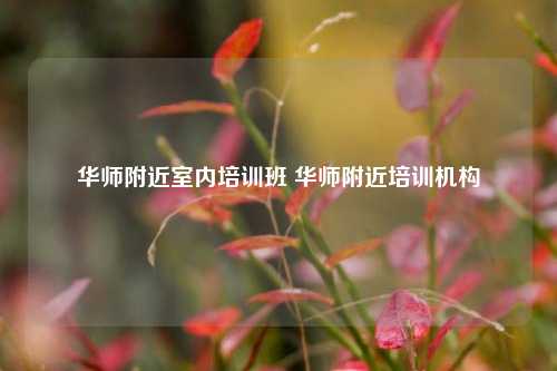 华师附近室内培训班 华师附近培训机构