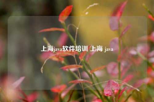 上海java软件培训 上海 java