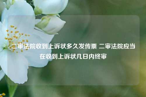 二审法院收到上诉状多久发传票 二审法院应当在收到上诉状几日内终审