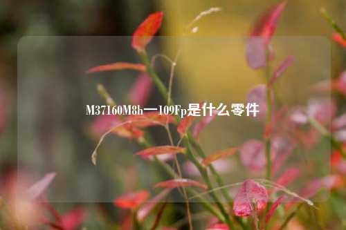 M37160M8h一109Fp是什么零件