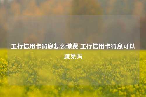 工行信用卡罚息怎么缴费 工行信用卡罚息可以减免吗