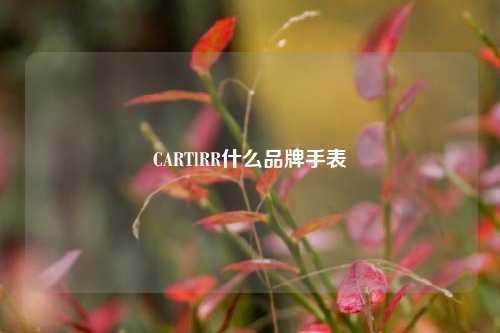 CARTlRR什么品牌手表