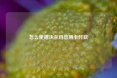 怎么使用沃尔玛信用卡付款