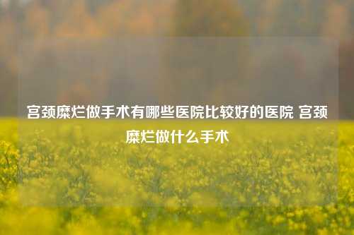 宫颈糜烂做手术有哪些医院比较好的医院 宫颈糜烂做什么手术