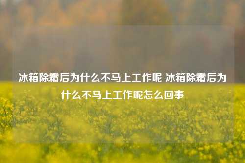 冰箱除霜后为什么不马上工作呢 冰箱除霜后为什么不马上工作呢怎么回事