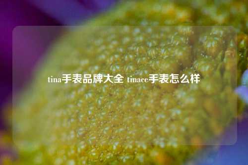 tina手表品牌大全 tinace手表怎么样