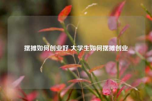 摆摊如何创业好 大学生如何摆摊创业