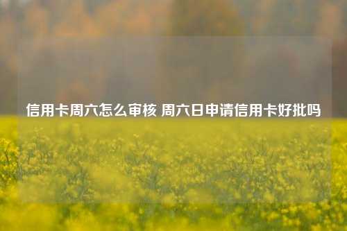 信用卡周六怎么审核 周六日申请信用卡好批吗