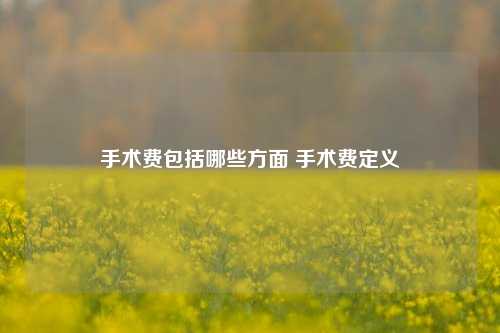 手术费包括哪些方面 手术费定义