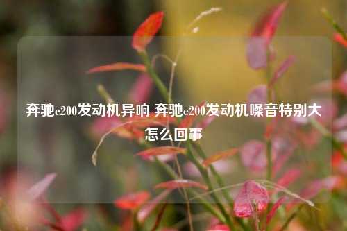 奔驰e200发动机异响 奔驰e200发动机噪音特别大怎么回事