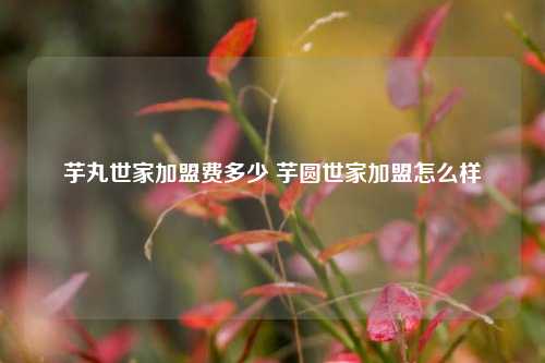 芋丸世家加盟费多少 芋圆世家加盟怎么样