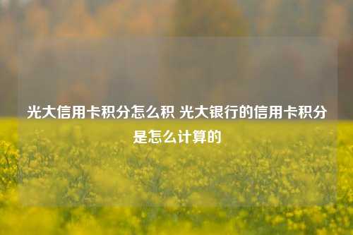 光大信用卡积分怎么积 光大银行的信用卡积分是怎么计算的