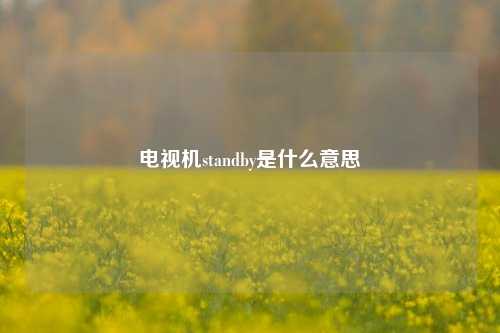 电视机standby是什么意思