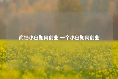 商场小白如何创业 一个小白如何创业