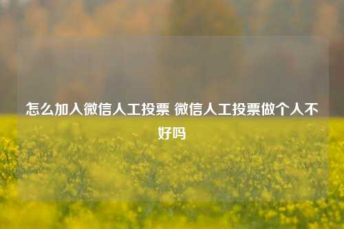 怎么加入微信人工投票 微信人工投票做个人不好吗