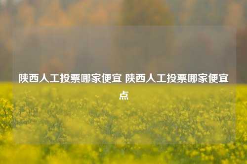 陕西人工投票哪家便宜 陕西人工投票哪家便宜点