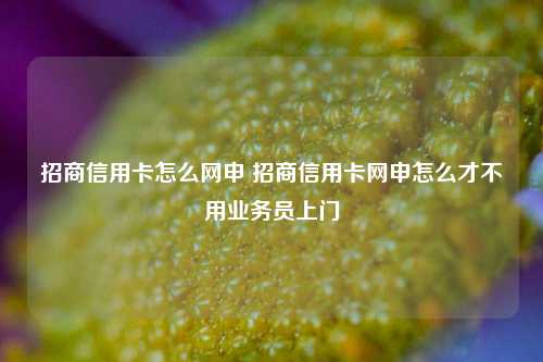 招商信用卡怎么网申 招商信用卡网申怎么才不用业务员上门