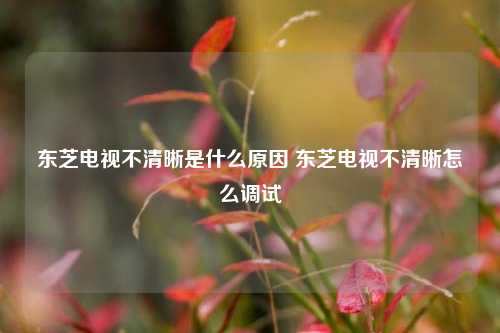 东芝电视不清晰是什么原因 东芝电视不清晰怎么调试