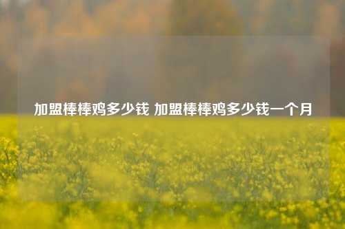 加盟棒棒鸡多少钱 加盟棒棒鸡多少钱一个月