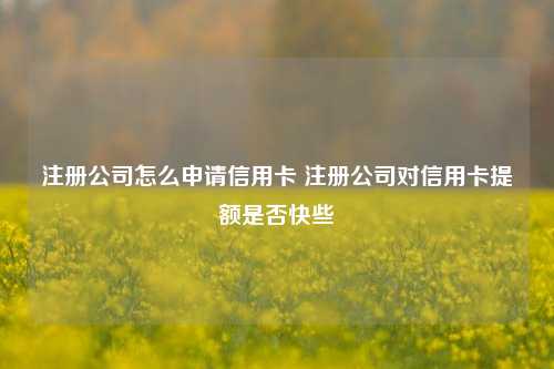 注册公司怎么申请信用卡 注册公司对信用卡提额是否快些