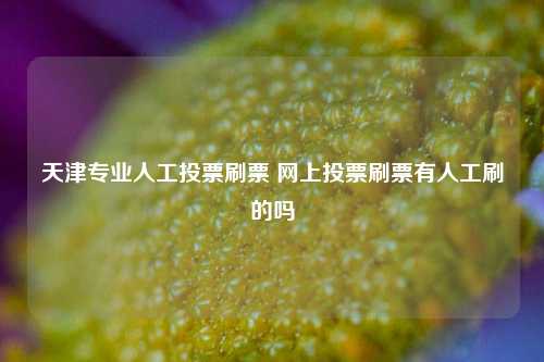 天津专业人工投票刷票 网上投票刷票有人工刷的吗