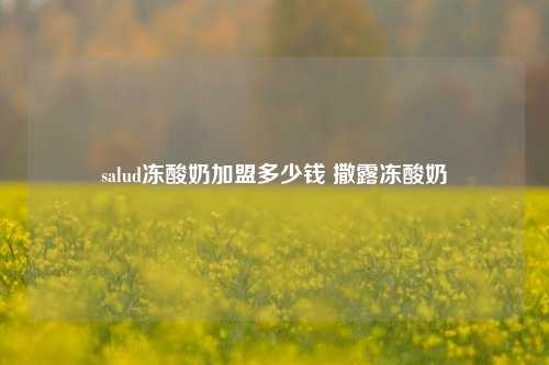 salud冻酸奶加盟多少钱 撒露冻酸奶