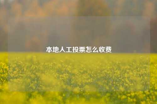 本地人工投票怎么收费