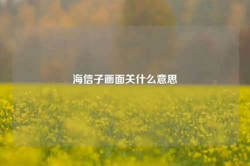 海信子画面关什么意思