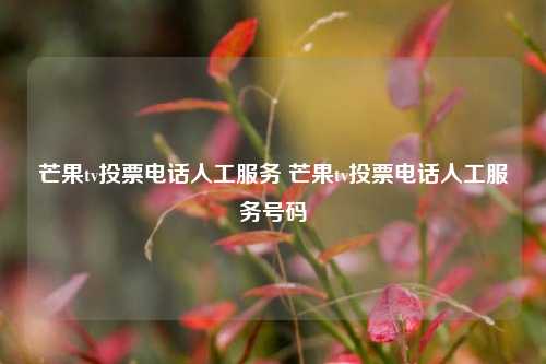 芒果tv投票电话人工服务 芒果tv投票电话人工服务号码