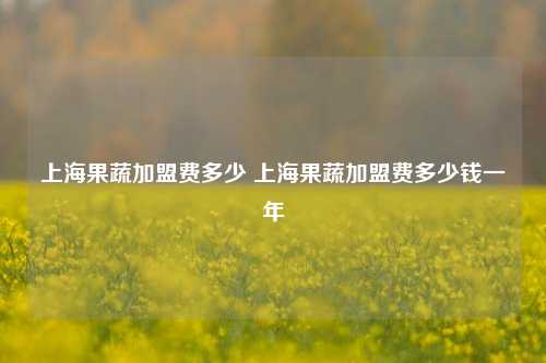 上海果蔬加盟费多少 上海果蔬加盟费多少钱一年