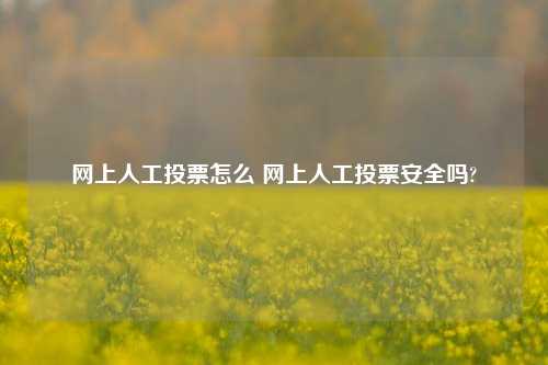 网上人工投票怎么 网上人工投票安全吗?