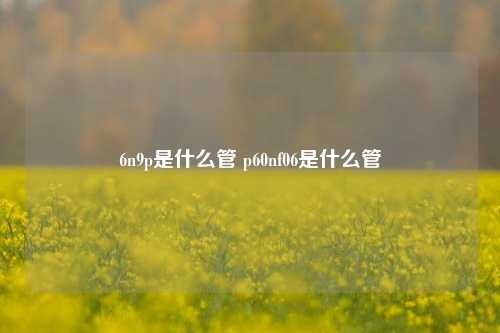 6n9p是什么管 p60nf06是什么管